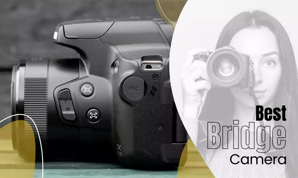 10 Best Bridge Camera: Get Ultra Zoom Pictures in 2023