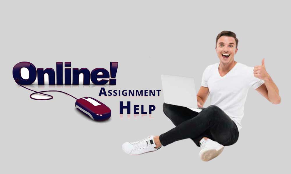 2 Best Online Academic Assignment Help Services in the USA