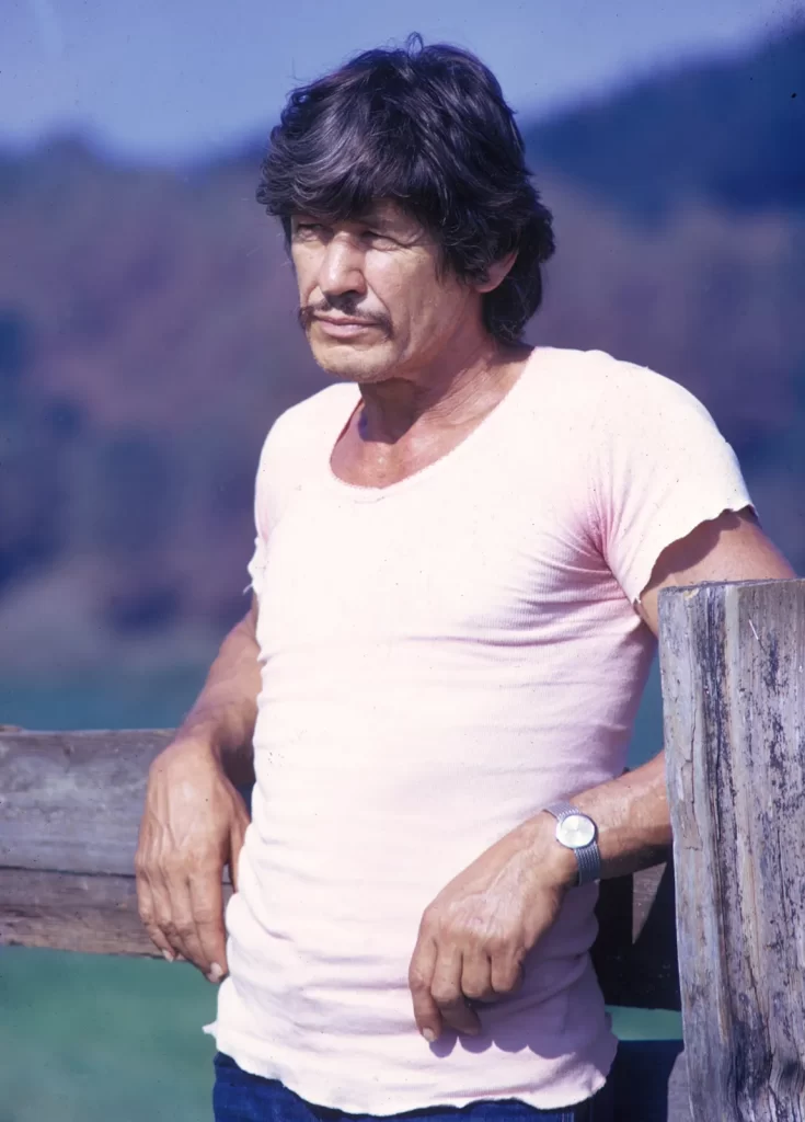 Charles Bronson