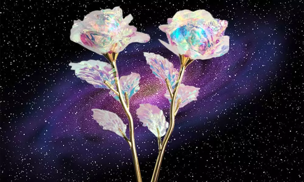 Galaxy Rose – A Forever Enchanted Beauty