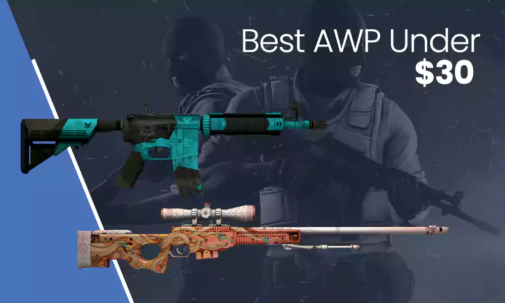 The Best AWP Under $30 — AWP | Elite Build