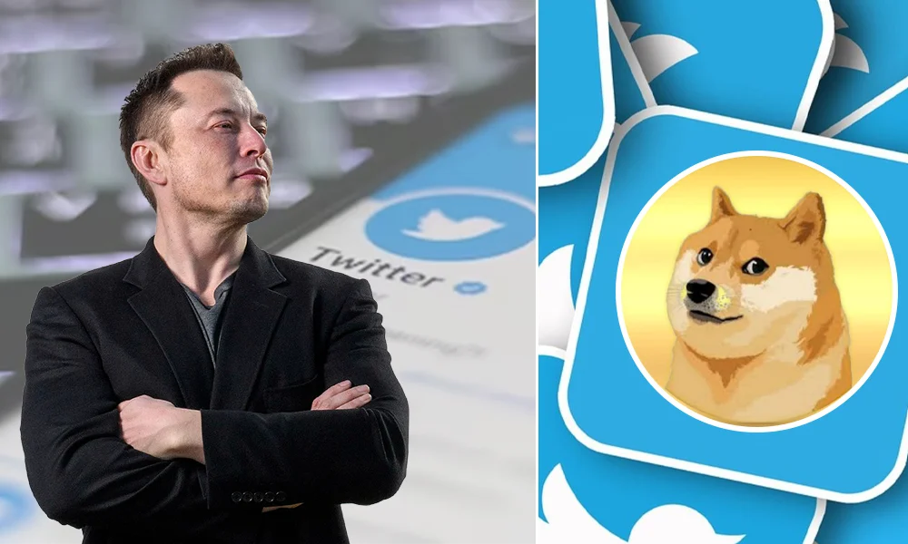 Why There’s a Dog on Twitter’s Logo? Will You be Barking Instead of Tweeting Now?