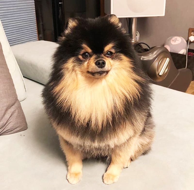 Yeontan