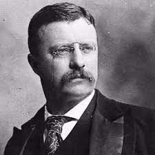 Best Teddy Roosevelt