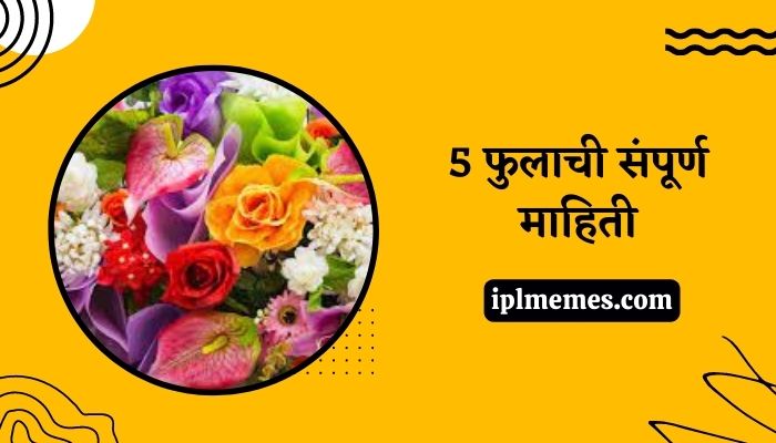 5 Flowers Information in Marathi