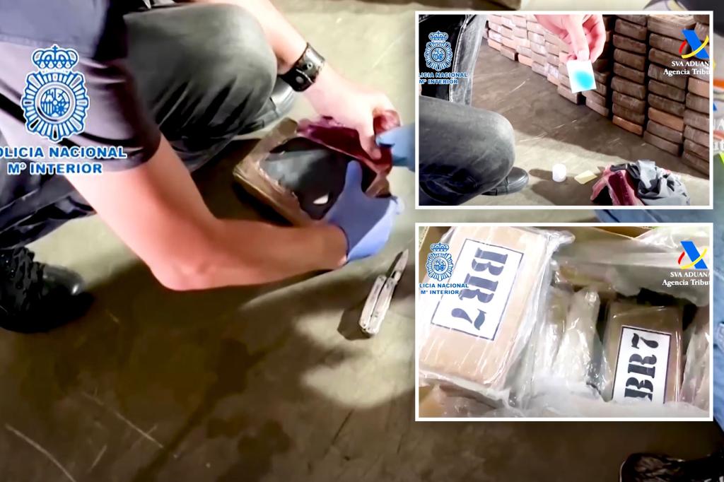 Authorities find record-breaking 9.5 tons of cocaine in banana shipment meant to go to 30 drug rings