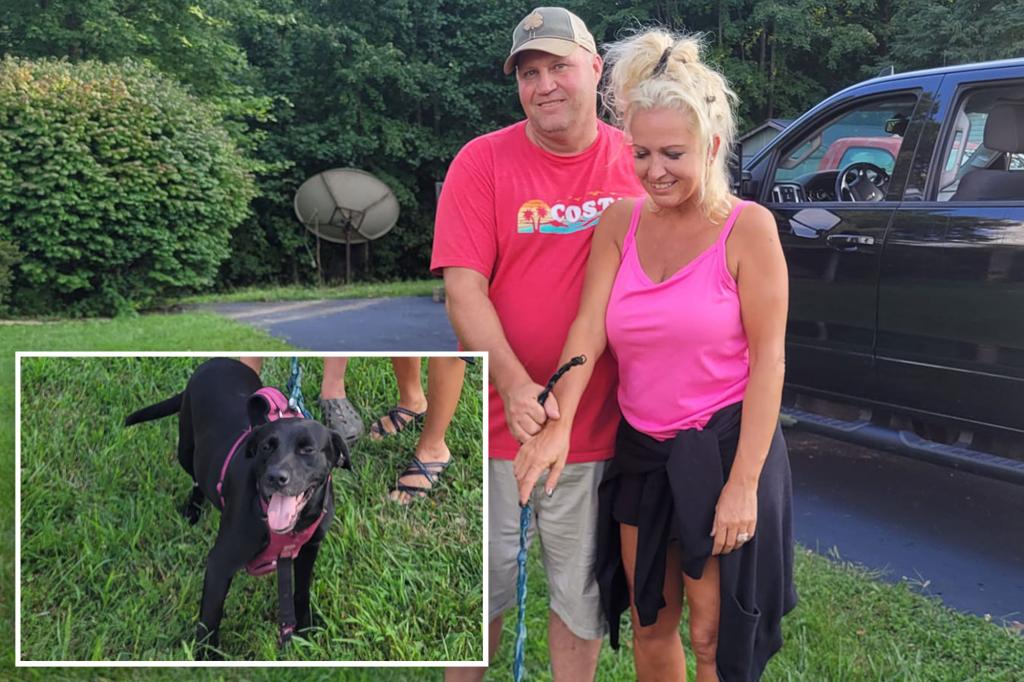 Couple searching for lost dog’s owner find elderly man who had been laid out helplessly for 2 days