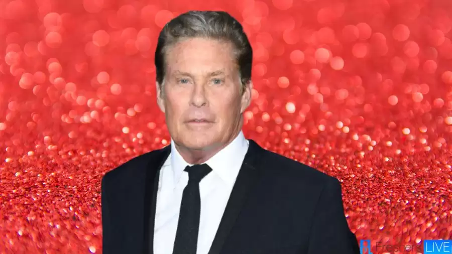 David Hasselhoff Net Worth in 2023 How Rich is He Now?