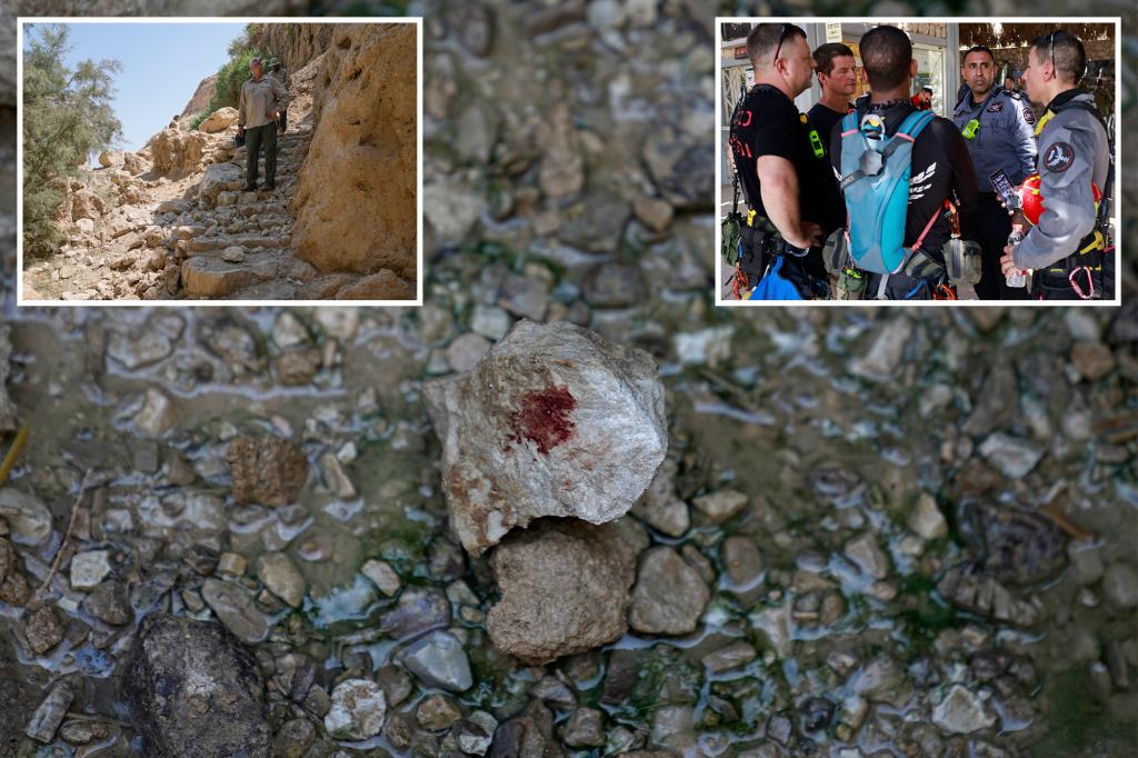 Falling boulders ‘the size of cars’ kill young boy, injure several others near Dead Sea in Israel: officials