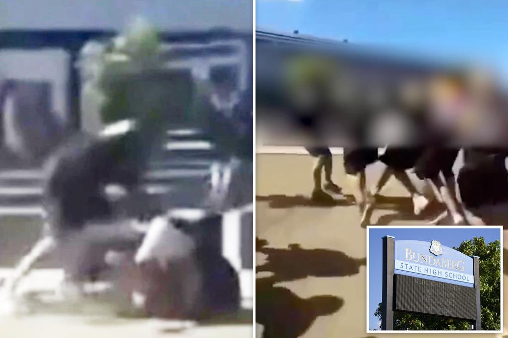 High school goes into lockdown after students erupt in wild lunchtime brawl