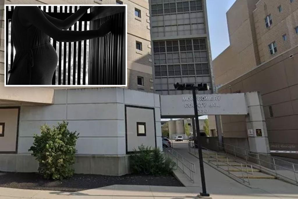 Inmate forced to give birth alone inside Tennessee jail cell
