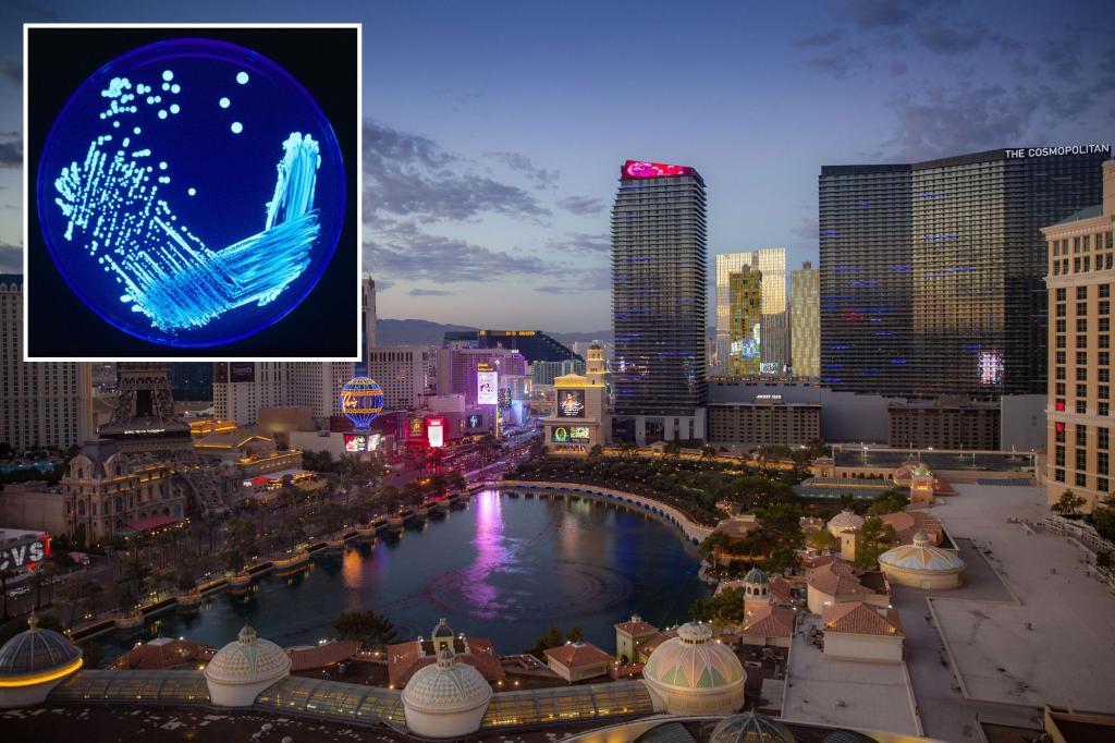 Las Vegas hotels under investigation for legionnaires’ disease cases