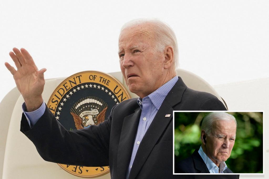 More than three-quarters of US thinks Biden is too old for second term: poll