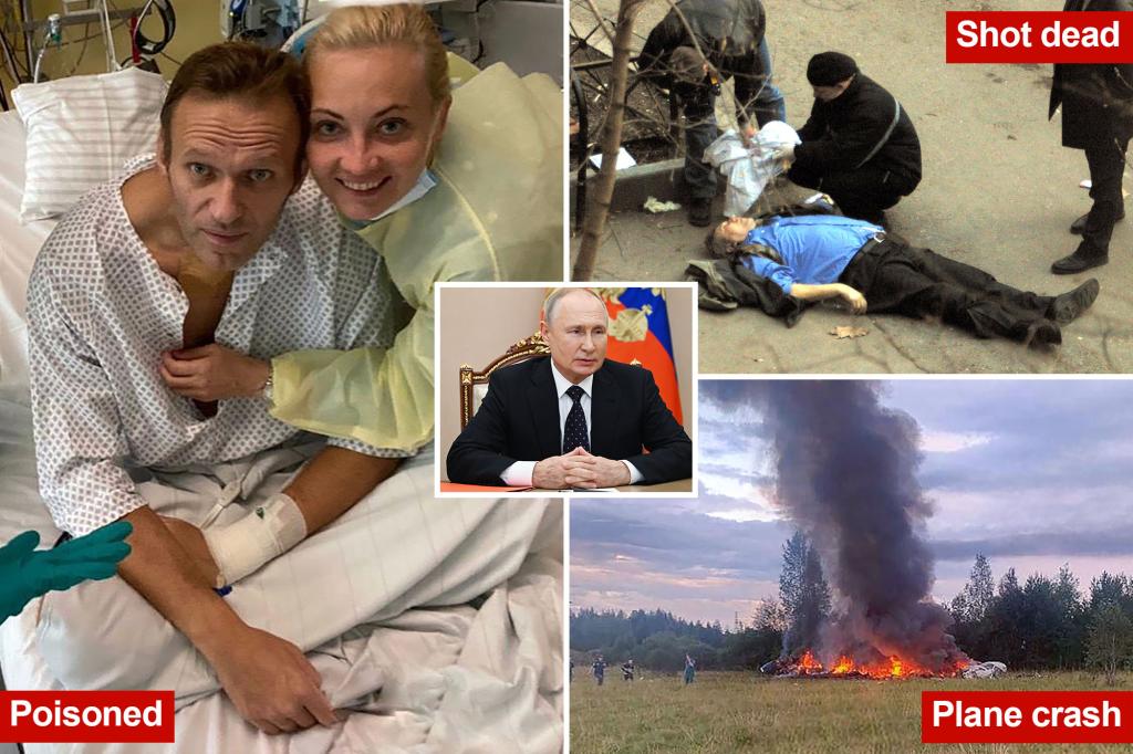 Mysterious deaths and close calls of Vladimir Putin’s political foes and critics