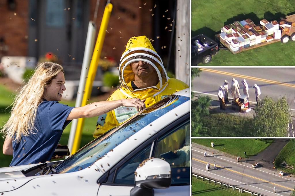 Police call special back up after 5 million ‘angry’ bees fall from truck