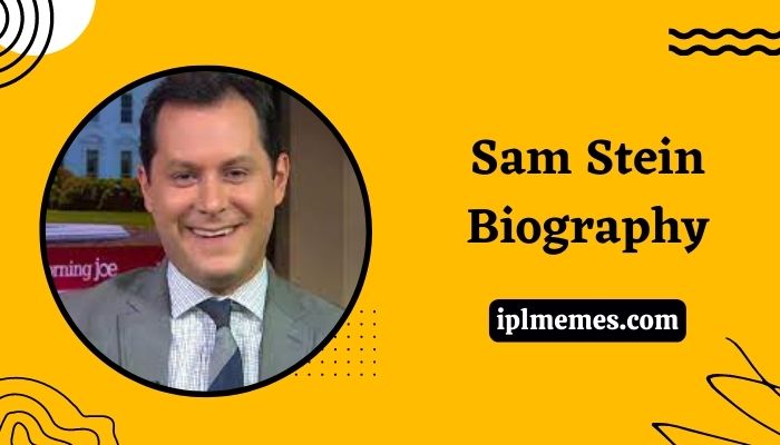 Sam Stein Wikipedia