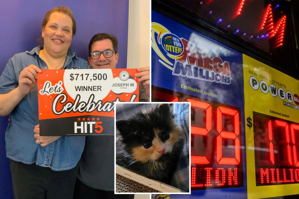 Washington postal worker attributes $717K lotto win to kitten rescue