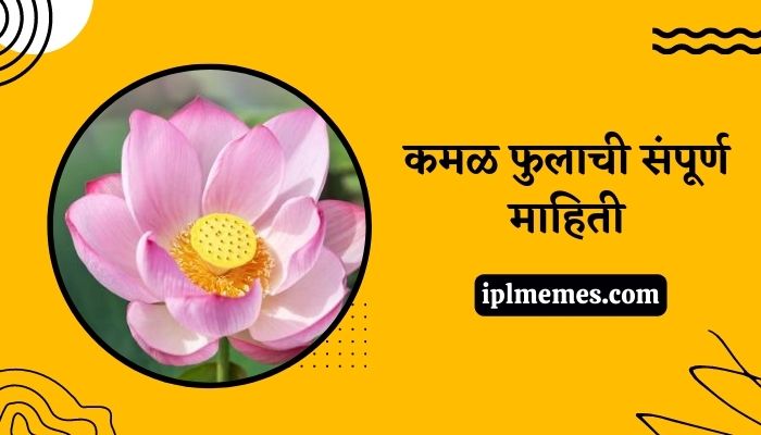 Lotus Flower Information in Marathi