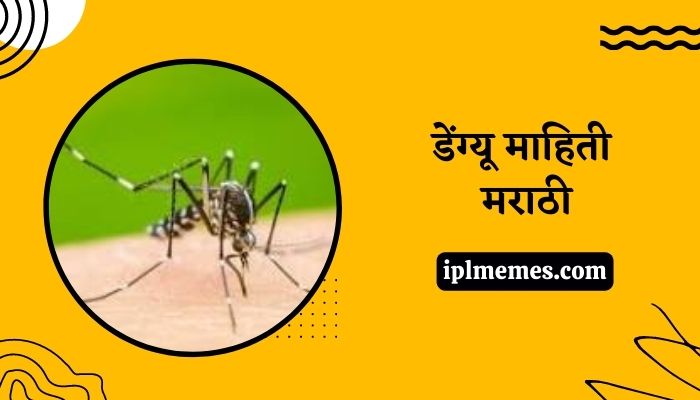 Dengue Mahiti Marathi