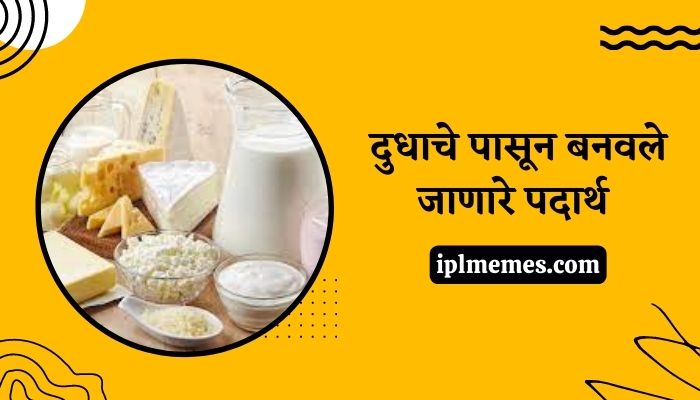 Milk Products Information in Marathi
