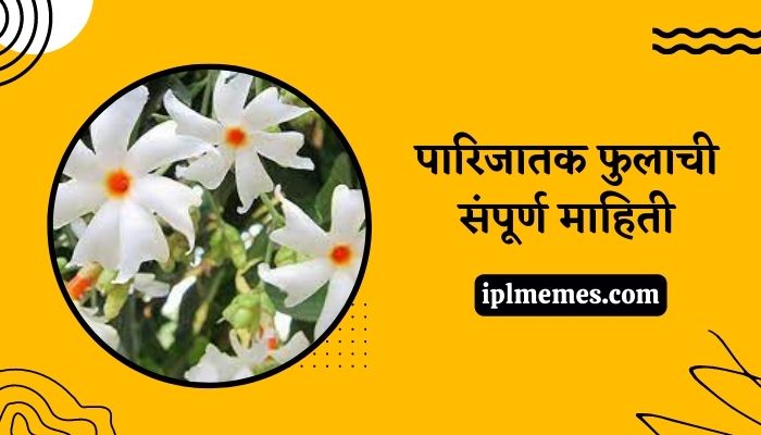 Parijat Flower in Marathi