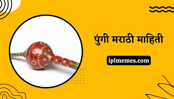 Pungi Information in Marathi