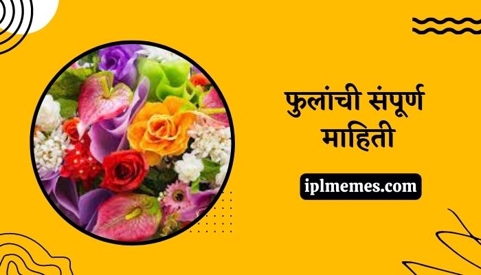 Flowers Information in Marathi