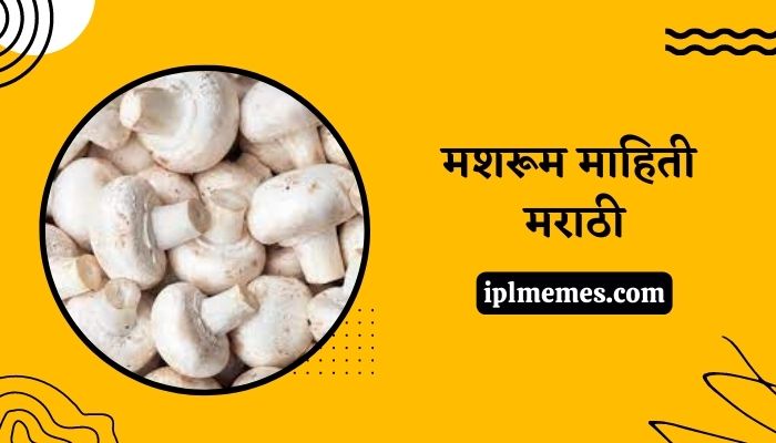 Mushroom Information in Marathi