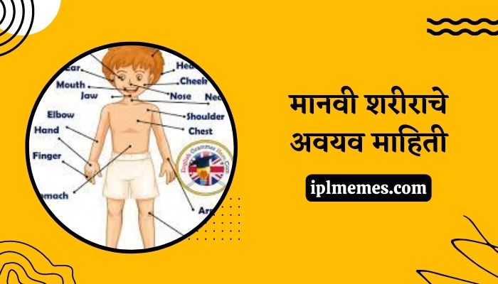 Parts of Body Information in Marathi