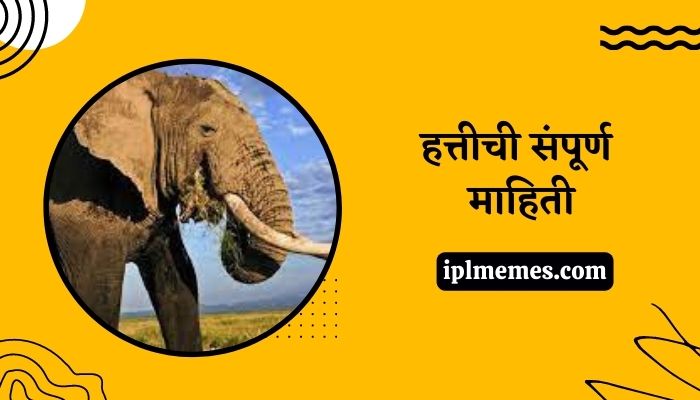 Elephant Mahiti Marathi