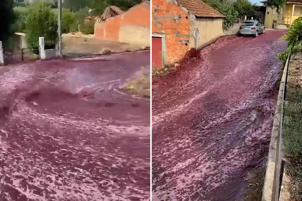 600,000 gallons of red wine flow through Portuguese town after spill, triggering environmental warning