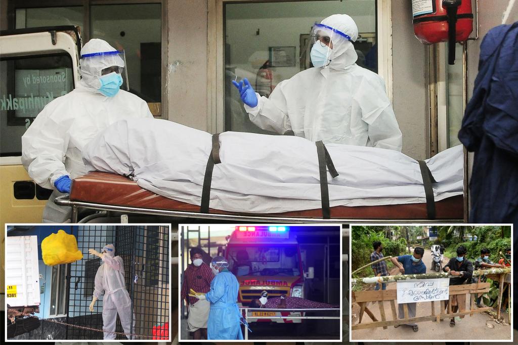 Another deadly Nipah virus outbreak: What are the symptoms?