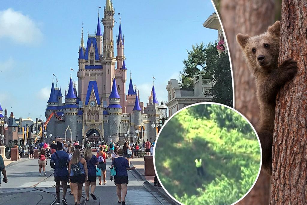 Bear’s shocking visit to Disney World forces multiple ride closures