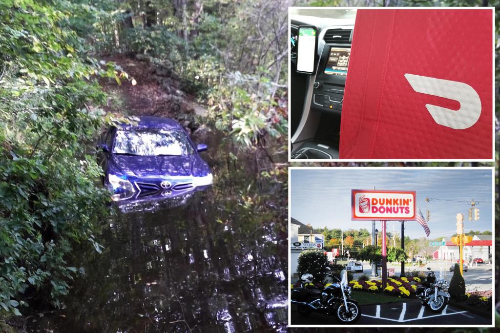 DoorDash driver with Dunkin’ followed GPS — and drove into swamp