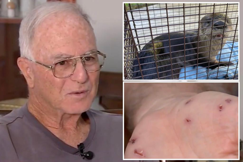 Elderly Florida man savagely attacked, bitten by rabid otter 41 times while feeding ducks