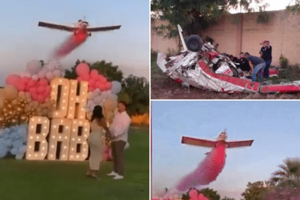 Gender reveal party ends in tragedy as plane crashes in front of oblivious guests