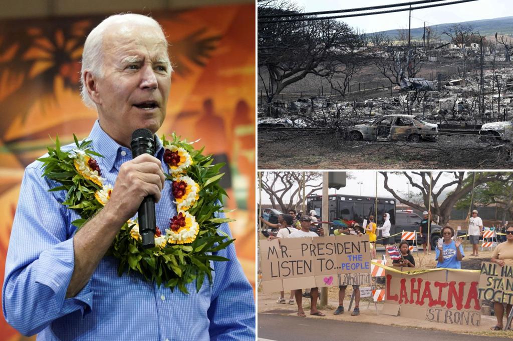 Hawaii lawmaker says Biden’s brief, sleepy visit was ‘slap in the face’ to Maui