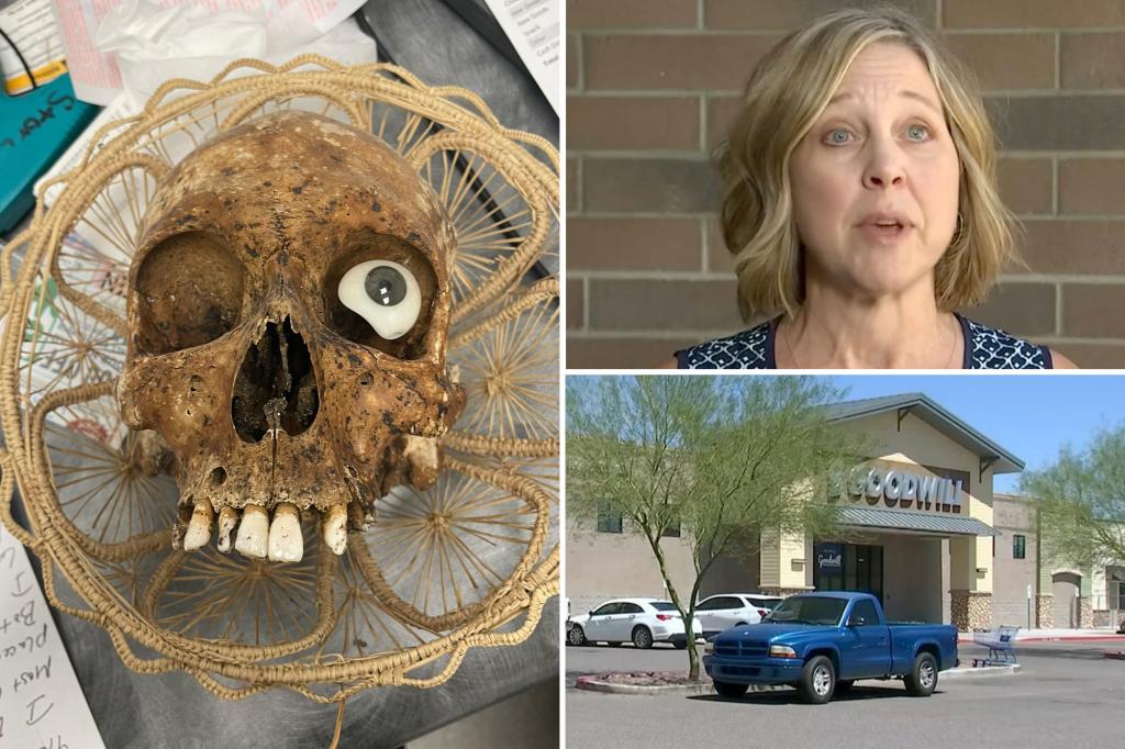 Human skull with fake eye donated  to Arizona Goodwill, shocking thrift stop workers