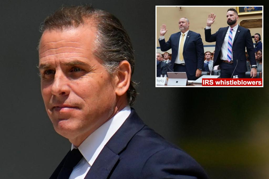 Hunter Biden sues IRS, alleges agents tried to ‘target’ and ‘embarrass’ him