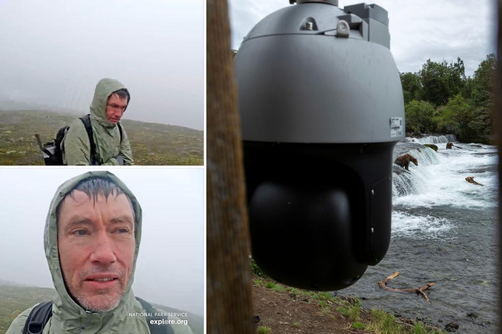 Lost hiker rescued after online bear cam captures him mouthing ‘help me’