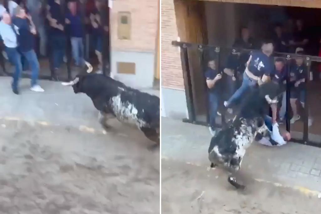Man dies after being gored by bull at Spanish festival