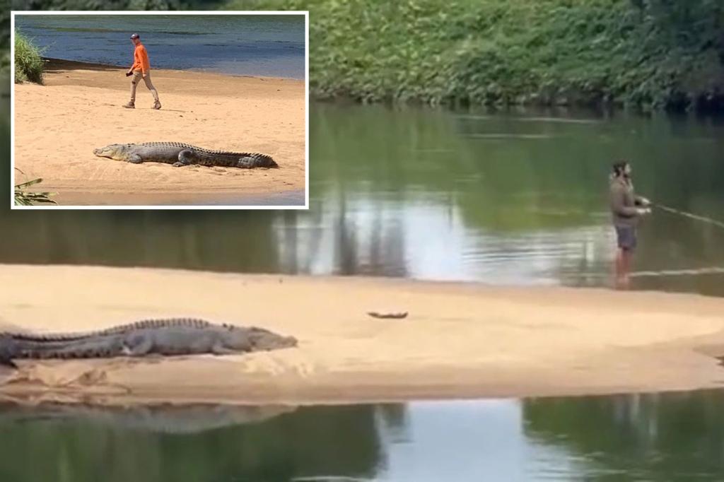 Man pictured casually strolling just feet away from huge crocodile in Australia