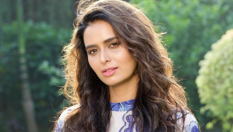 Meenakshi Dixit Biography/Wiki, Age, Height, Career, Photos & More ...