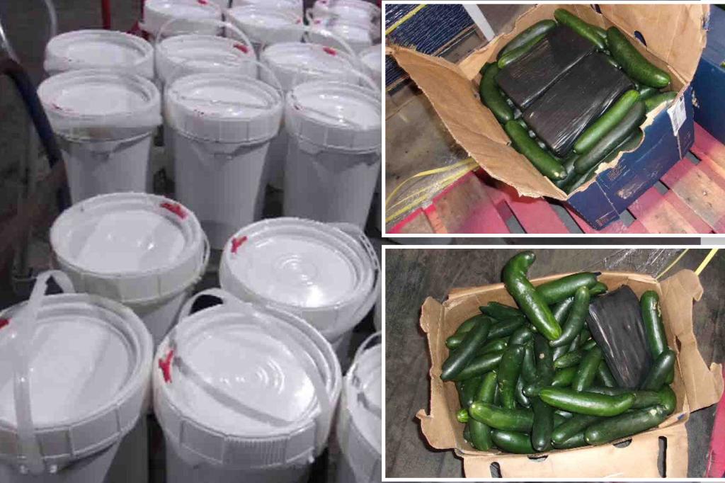 Mexican man caught trying to smuggle 400 pounds of cocaine in cucumber shipments across border