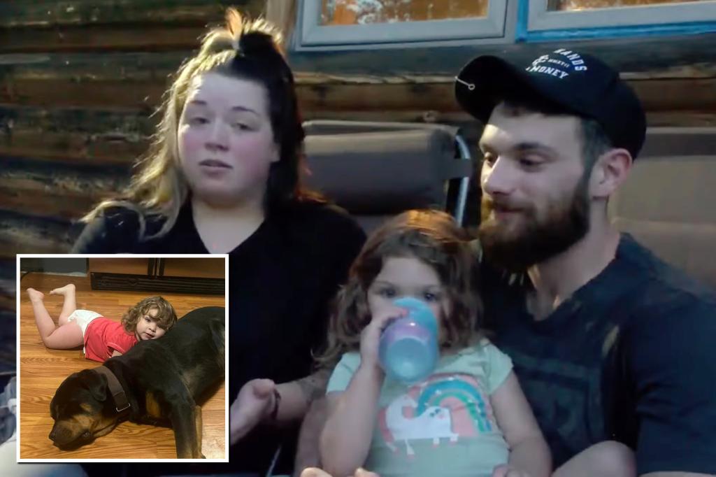 Michigan toddler lost in the woods found asleep using family dog as pillow