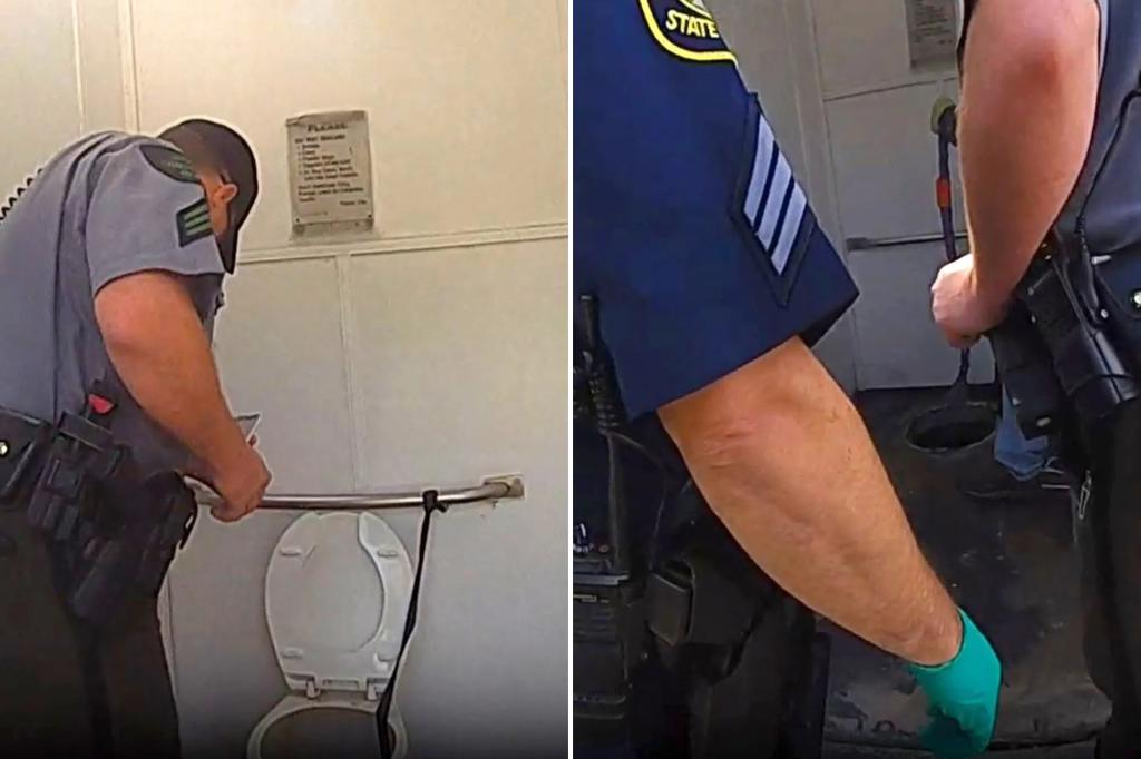 Michigan woman gets stuck in outhouse toilet trying to retrieve her Apple Watch