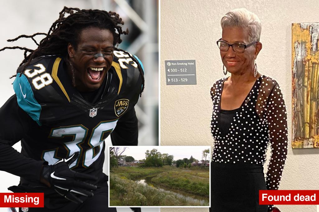 Missing ex-NFL player Sergio Brown appears to surface in Mexico with bizarre rant