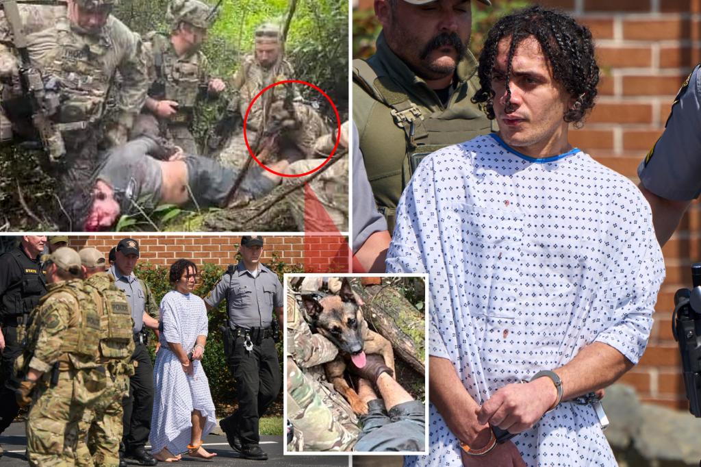 Pics of heroic K-9 that tracked down escaped murderer emerge as Danelo Cavalcante is seen barefoot and bloodied