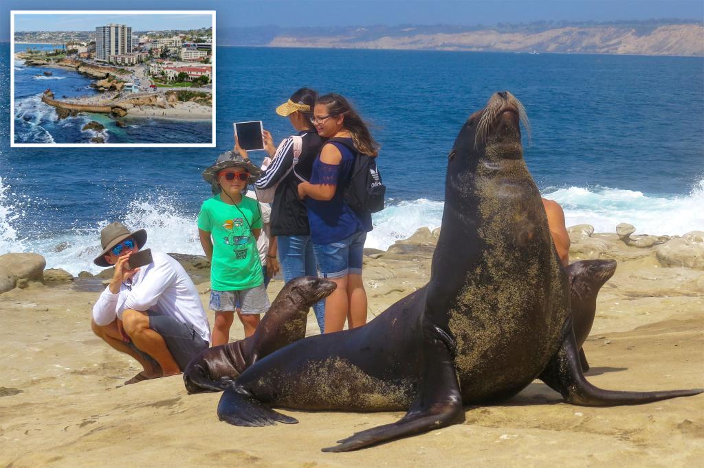 Popular southern California beach indefinitely shut down to protect sea lions