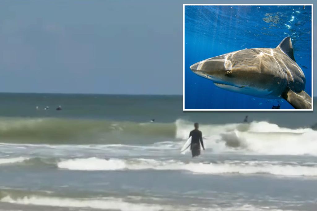Shark bites surfer in the face off Florida’s New Smyrna Beach